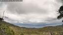 ./images/calvert/fitz-hugh-hecate/20260523/fitz-hugh-hecate20260523_113501M.jpg
