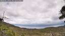 ./images/calvert/fitz-hugh-hecate/20260523/fitz-hugh-hecate20260523_115002M.jpg
