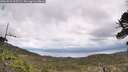 ./images/calvert/fitz-hugh-hecate/20260523/fitz-hugh-hecate20260523_115501M.jpg