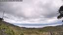 ./images/calvert/fitz-hugh-hecate/20260523/fitz-hugh-hecate20260523_120501M.jpg