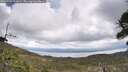 ./images/calvert/fitz-hugh-hecate/20260523/fitz-hugh-hecate20260523_121001M.jpg