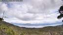 ./images/calvert/fitz-hugh-hecate/20260523/fitz-hugh-hecate20260523_131001M.jpg