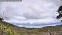 ./images/calvert/fitz-hugh-hecate/20260523/fitz-hugh-hecate20260523_133501M.jpg