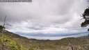 ./images/calvert/fitz-hugh-hecate/20260523/fitz-hugh-hecate20260523_134501M.jpg