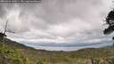 ./images/calvert/fitz-hugh-hecate/20260523/fitz-hugh-hecate20260523_140001M.jpg