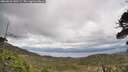 ./images/calvert/fitz-hugh-hecate/20260523/fitz-hugh-hecate20260523_140501M.jpg