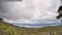 ./images/calvert/fitz-hugh-hecate/20260523/fitz-hugh-hecate20260523_141002M.jpg