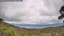 ./images/calvert/fitz-hugh-hecate/20260523/fitz-hugh-hecate20260523_141502M.jpg