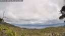 ./images/calvert/fitz-hugh-hecate/20260523/fitz-hugh-hecate20260523_143001M.jpg