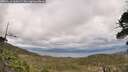 ./images/calvert/fitz-hugh-hecate/20260523/fitz-hugh-hecate20260523_145002M.jpg