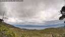 ./images/calvert/fitz-hugh-hecate/20260523/fitz-hugh-hecate20260523_151002M.jpg