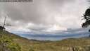 ./images/calvert/fitz-hugh-hecate/20260523/fitz-hugh-hecate20260523_152002M.jpg