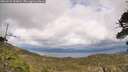./images/calvert/fitz-hugh-hecate/20260523/fitz-hugh-hecate20260523_153001M.jpg