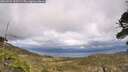 ./images/calvert/fitz-hugh-hecate/20260523/fitz-hugh-hecate20260523_153502M.jpg