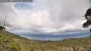 ./images/calvert/fitz-hugh-hecate/20260523/fitz-hugh-hecate20260523_154001M.jpg