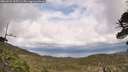 ./images/calvert/fitz-hugh-hecate/20260523/fitz-hugh-hecate20260523_155501M.jpg