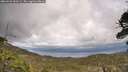 ./images/calvert/fitz-hugh-hecate/20260523/fitz-hugh-hecate20260523_160501M.jpg