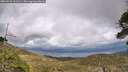 ./images/calvert/fitz-hugh-hecate/20260523/fitz-hugh-hecate20260523_161501M.jpg