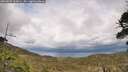 ./images/calvert/fitz-hugh-hecate/20260523/fitz-hugh-hecate20260523_163001M.jpg
