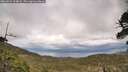 ./images/calvert/fitz-hugh-hecate/20260523/fitz-hugh-hecate20260523_164002M.jpg