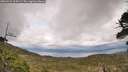 ./images/calvert/fitz-hugh-hecate/20260523/fitz-hugh-hecate20260523_164501M.jpg