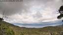 ./images/calvert/fitz-hugh-hecate/20260523/fitz-hugh-hecate20260523_165502M.jpg