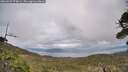 ./images/calvert/fitz-hugh-hecate/20260523/fitz-hugh-hecate20260523_174001M.jpg