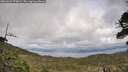./images/calvert/fitz-hugh-hecate/20260523/fitz-hugh-hecate20260523_175002M.jpg