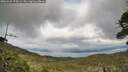 ./images/calvert/fitz-hugh-hecate/20260523/fitz-hugh-hecate20260523_175501M.jpg
