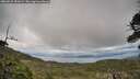 ./images/calvert/fitz-hugh-hecate/20260523/fitz-hugh-hecate20260523_181002M.jpg