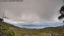 ./images/calvert/fitz-hugh-hecate/20260523/fitz-hugh-hecate20260523_183001M.jpg