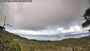./images/calvert/fitz-hugh-hecate/20260523/fitz-hugh-hecate20260523_190001M.jpg