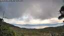 ./images/calvert/fitz-hugh-hecate/20260523/fitz-hugh-hecate20260523_192002M.jpg