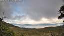 ./images/calvert/fitz-hugh-hecate/20260523/fitz-hugh-hecate20260523_192502M.jpg