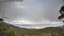 ./images/calvert/fitz-hugh-hecate/20260523/fitz-hugh-hecate20260523_193501M.jpg