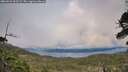 ./images/calvert/fitz-hugh-hecate/20260523/fitz-hugh-hecate20260523_203502M.jpg