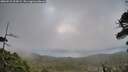 ./images/calvert/fitz-hugh-hecate/20260523/fitz-hugh-hecate20260523_204501M.jpg