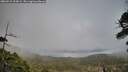 ./images/calvert/fitz-hugh-hecate/20260523/fitz-hugh-hecate20260523_205002M.jpg