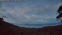 ./images/calvert/fitz-hugh-hecate/20260523/fitz-hugh-hecate20260523_220501M.jpg