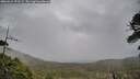 ./images/calvert/fitz-hugh-hecate/20260524/fitz-hugh-hecate20260524_072501M.jpg