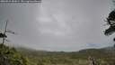 ./images/calvert/fitz-hugh-hecate/20260524/fitz-hugh-hecate20260524_081001M.jpg