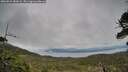 ./images/calvert/fitz-hugh-hecate/20260524/fitz-hugh-hecate20260524_082002M.jpg