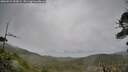 ./images/calvert/fitz-hugh-hecate/20260524/fitz-hugh-hecate20260524_090001M.jpg