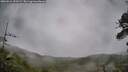 ./images/calvert/fitz-hugh-hecate/20260524/fitz-hugh-hecate20260524_091501M.jpg