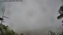 ./images/calvert/fitz-hugh-hecate/20260524/fitz-hugh-hecate20260524_095002M.jpg