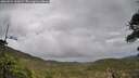 ./images/calvert/fitz-hugh-hecate/20260524/fitz-hugh-hecate20260524_100501M.jpg