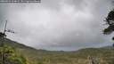 ./images/calvert/fitz-hugh-hecate/20260524/fitz-hugh-hecate20260524_104002M.jpg