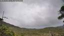 ./images/calvert/fitz-hugh-hecate/20260524/fitz-hugh-hecate20260524_104501M.jpg