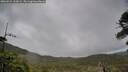 ./images/calvert/fitz-hugh-hecate/20260524/fitz-hugh-hecate20260524_110001M.jpg