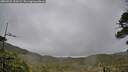 ./images/calvert/fitz-hugh-hecate/20260524/fitz-hugh-hecate20260524_110502M.jpg
